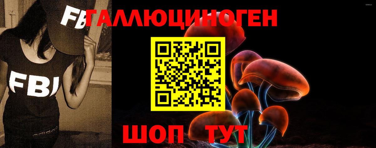 Псилоцибиновые грибы Psilocybe Вичуга
